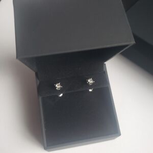 Elegant Silver Stud Earrings